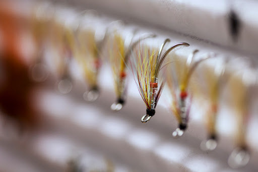 Angus Angling - Visual