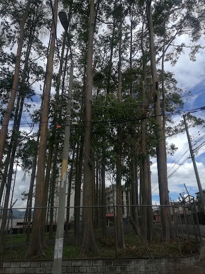 park