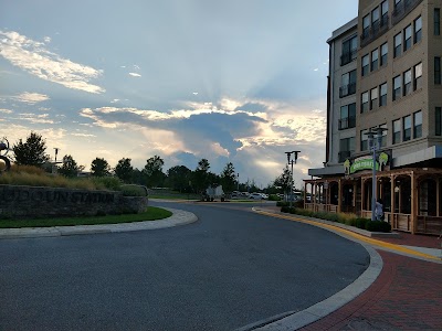 AMC Loudoun Station 11