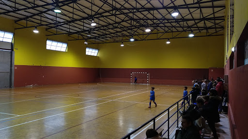 Polideportivo Municipal Blimea