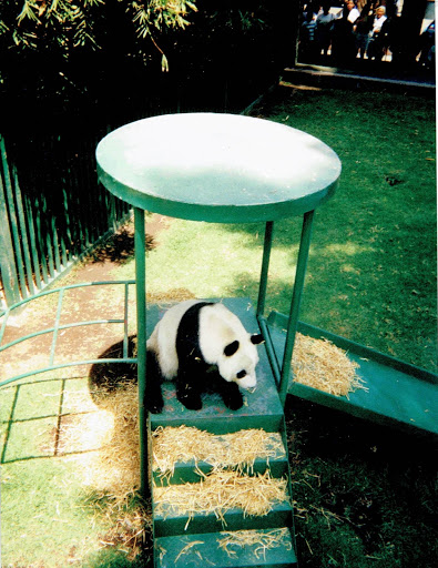 Clínica Veterinaria Zoovet MX