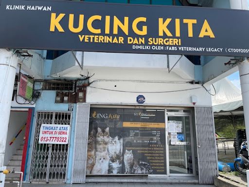 KucingKita Veterinar Dan Surgeri