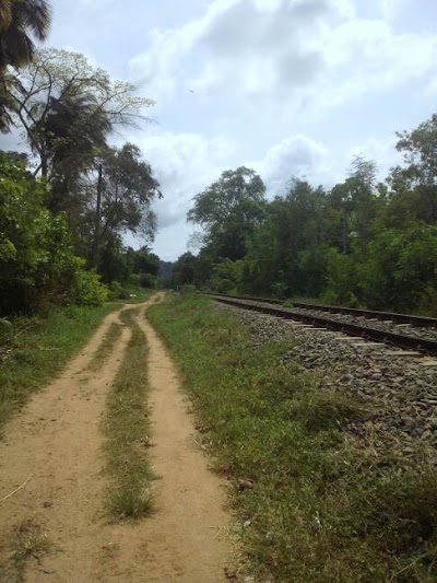 Photos of Kalawewa Railway Station