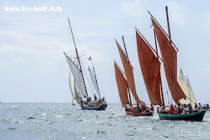 Photo n°29 de Lys Noir à Arradon (Agence d'excursions en bateau)