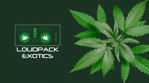 Loudpack Exotics - Cannabis Dispensary photo 2