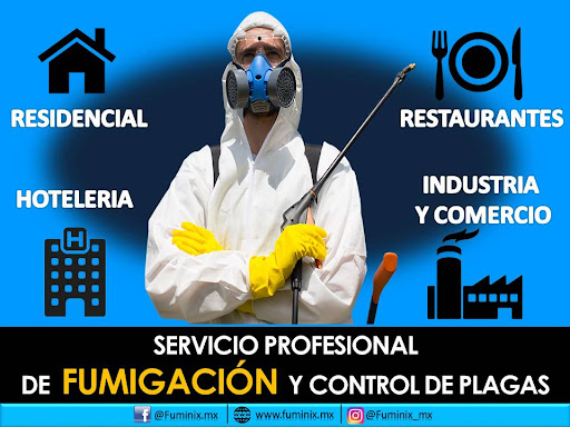 FUMINIX - Visual