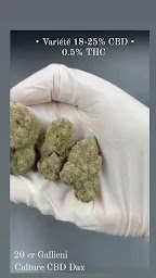 Photo n°2 de Culture CBD shop magasin de Dax à Dax (Magasin de thé)