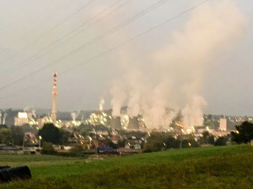 Barreda - Visual