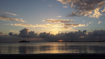Photos of Utila Dive Centre