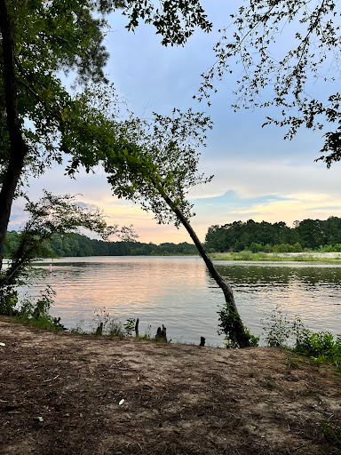 Loughlise Beach - Thumbnail
