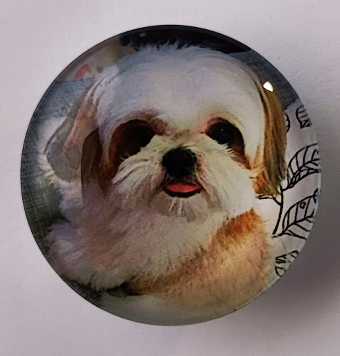 EL PERRO VERDE - Thumbnail