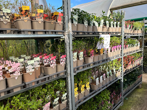 The Garden Warehouse