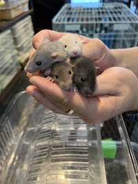 アニマルスペース39-mick