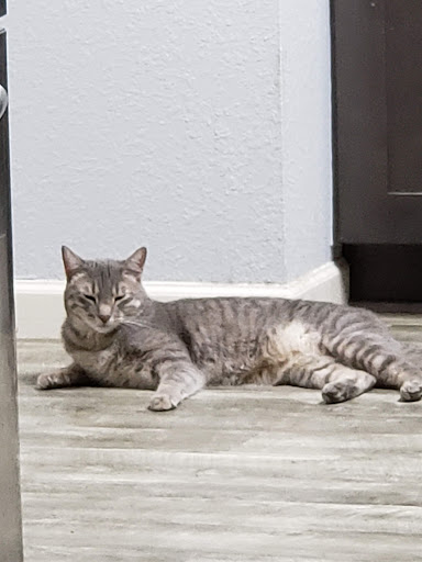 Highland Knolls Veterinary Hospital - Thumbnail