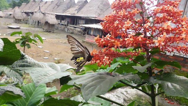 Village traditionnel de Bena