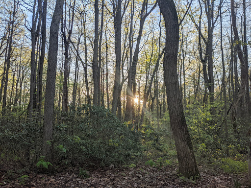 William Penn Shelter - Thumbnail