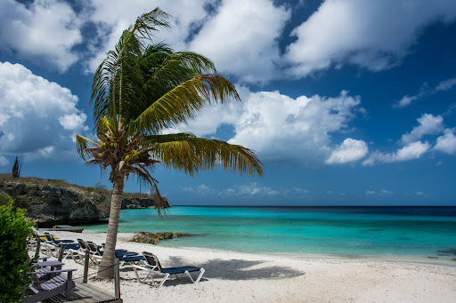 Scenic Views Travel - Thumbnail