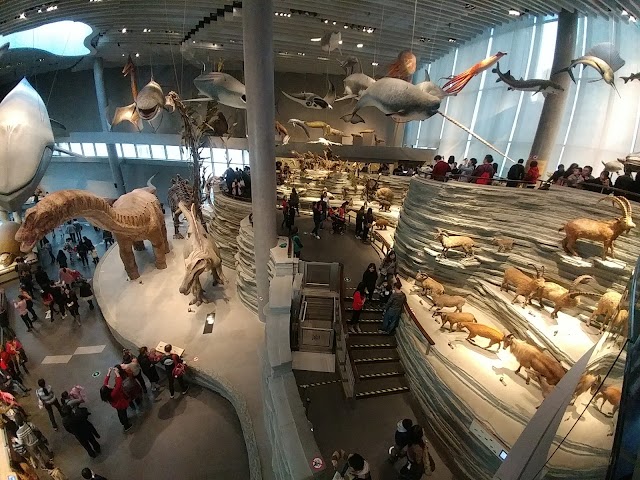 Shanghai Natural History Museum.