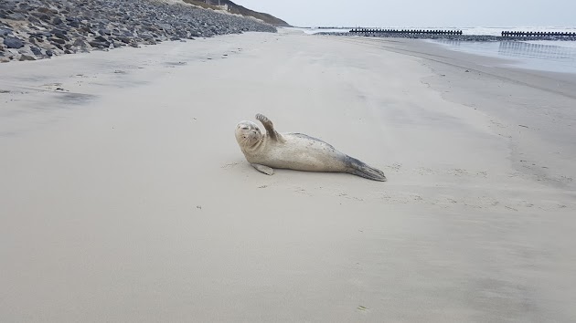 Die Inseln von oben sehen!
