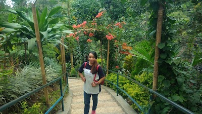 Photos of Mt. Lawu East Java