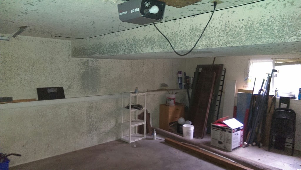Mold Inspection Services, Inc photo