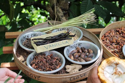 Photos of Teras Agro Wisata Nongan Bali
