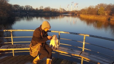 Photos of Amager