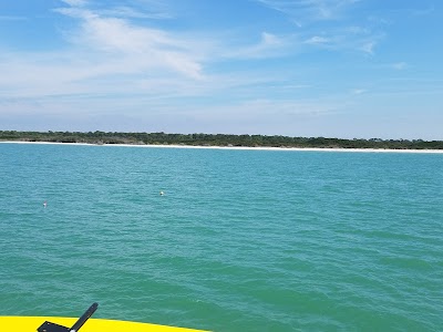 Photos of Sea Screamers of Clearwater
