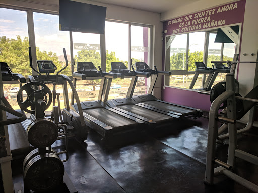 Gym VJL - Libramiento 2 - Thumbnail