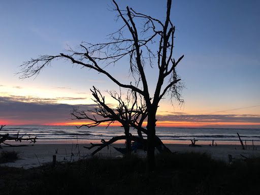 Capers Island Heritage Preserve - Thumbnail