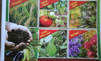 Photos of Haritha Lanka Compost Factory