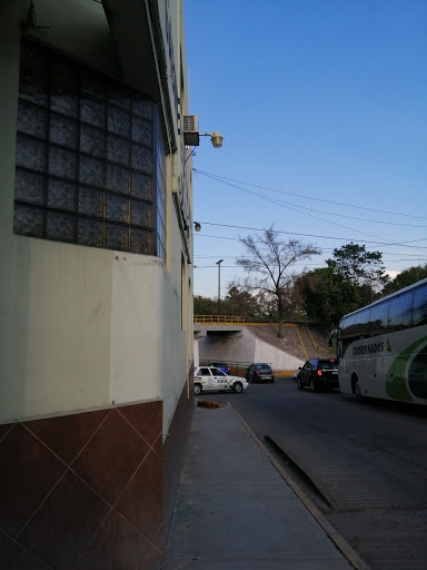 Dr.Olguín - Visual
