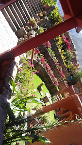 Flying Dog Hostels Urubamba 9