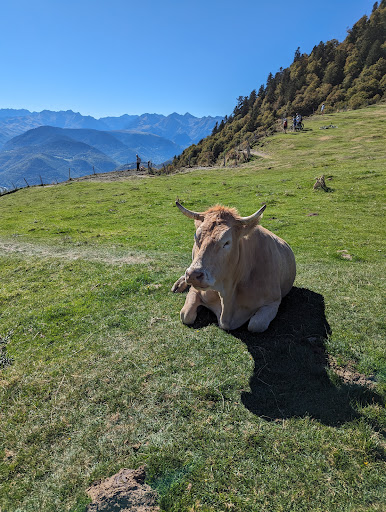 Col d'Aspin - Thumbnail