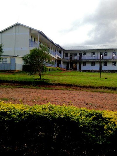 school