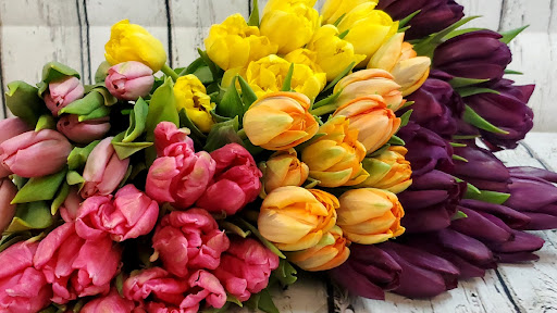 Bea's Blooms - Visual