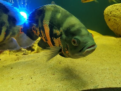 Photos of Cafe 4 U