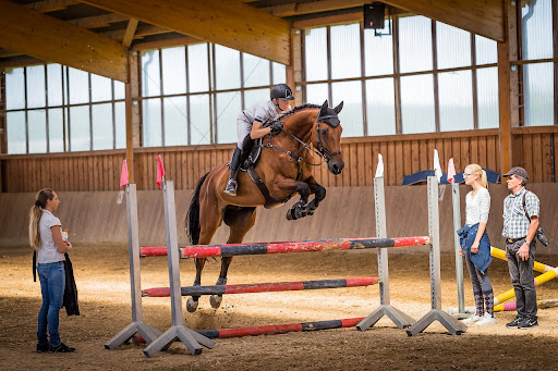 Froghill Tack Gallery - United Kingdom