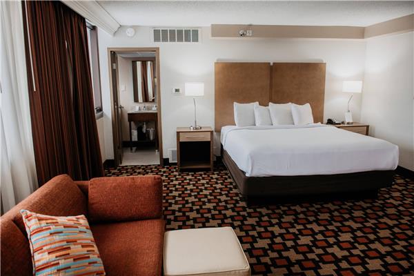 Radisson Hotel St. Paul Downtown by null