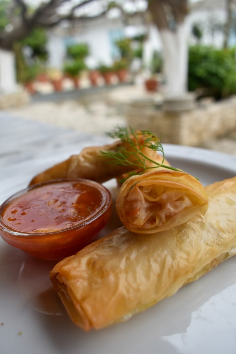 Taverna Garden — photo 11