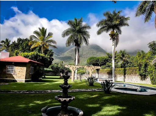 Finca Ticumán - Visual