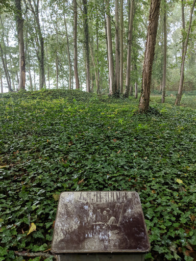 Bois de Wallieux - Thumbnail