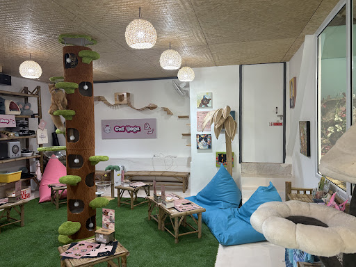 Cat café by CatWorld