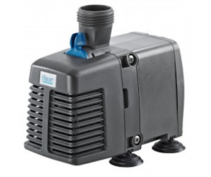 Photo n°46 de Aquaplante Calais à Calais (Magasin de poissons tropicaux)