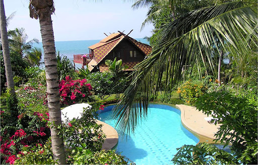 Coconut Laguna