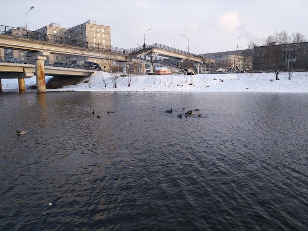 Парк горького нижний тагил