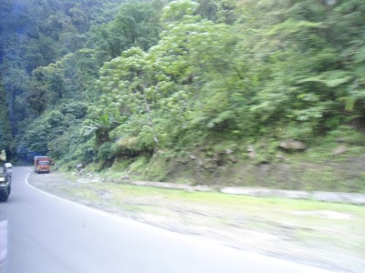 Photos of The village government Kebonagung
