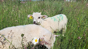 Photo n°4 de Chambre d'hôtes à la ferme à Mazan-l'Abbaye (Chambre d'hôtes)