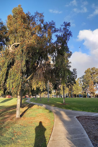 Reg Robinson Reserve