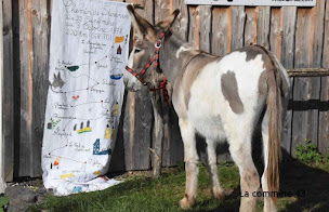 Photo n°13 de Rando-Ane à Alleyrac (Agence de voyages)